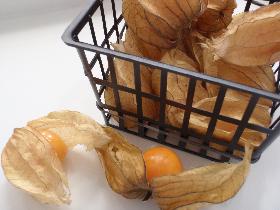 mochyně (Physalis)