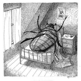 I Ty se můžeš probudit jako Gregor Samsa