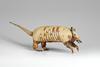 armadillo.jpeg