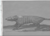 pasovec,codex129png.png